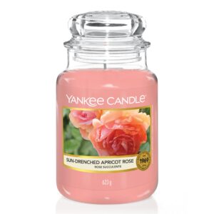 Sun Drenched Apricot Rose – Classic Large