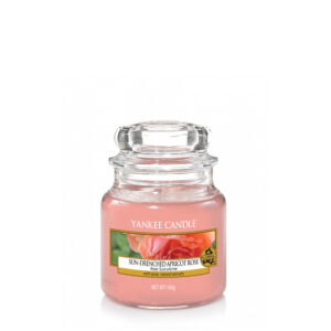 Sun Drenched Apricot Rose – Classic Medium